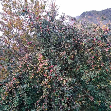 L'antica Da Gigino Panzió Corniolo