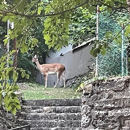 L'antica Da Gigino Oda ve Kahvaltı 3*