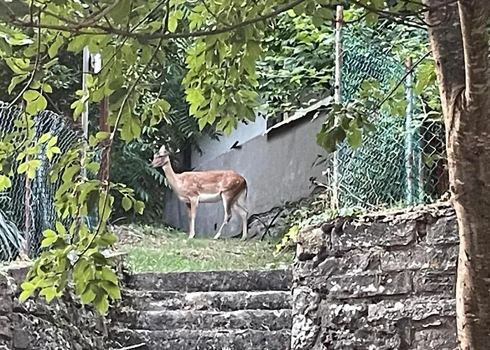L'antica Da Gigino Oda ve Kahvaltı 3*