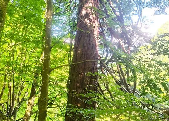 L'antica Da Gigino 3* Corniolo (Emilia-Romagna)